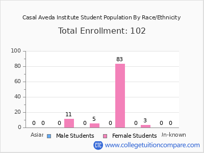 Casal Aveda Institute 2025 Student Population by Gender and Race chart