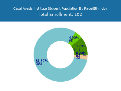 Casal Aveda Institute 2025 Student Population by Gender and Race chart
