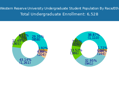 Case Western Reserve University 2025 Undergraduate Enrollment by Gender and Race chart