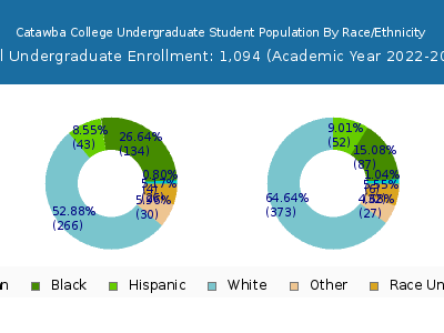 Catawba College 2023 Undergraduate Enrollment by Gender and Race chart