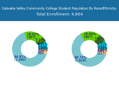 Catawba Valley Community College 2025 Student Population by Gender and Race chart