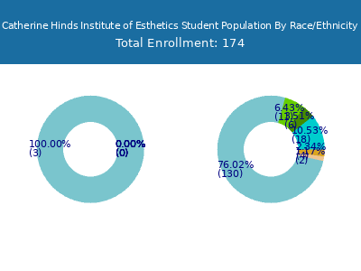 Catherine Hinds Institute of Esthetics 2025 Student Population by Gender and Race chart