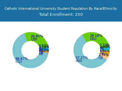 Catholic International University 2025 Student Population by Gender and Race chart