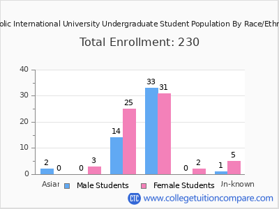 Catholic International University 2025 Undergraduate Enrollment by Gender and Race chart