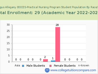 Cattaraugus Allegany BOCES-Practical Nursing Program 2023 Student Population by Gender and Race chart