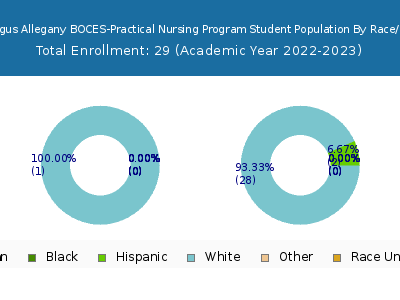 Cattaraugus Allegany BOCES-Practical Nursing Program 2023 Student Population by Gender and Race chart