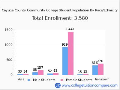 Cayuga County Community College 2025 Student Population by Gender and Race chart