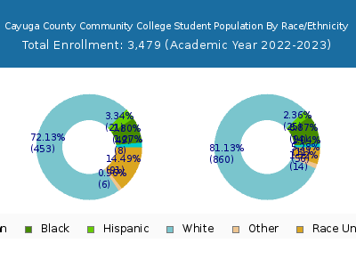 Cayuga County Community College 2023 Student Population by Gender and Race chart