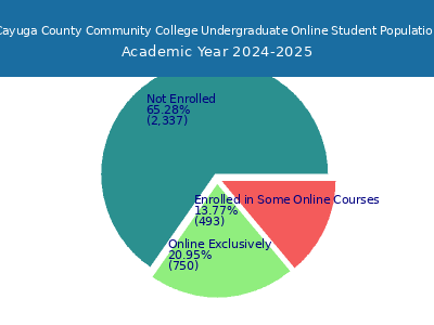 Cayuga County Community College 2025 Online Student Population chart