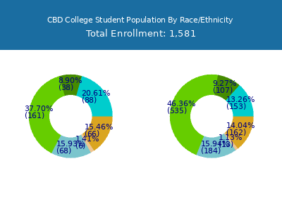 CBD College 2025 Student Population by Gender and Race chart