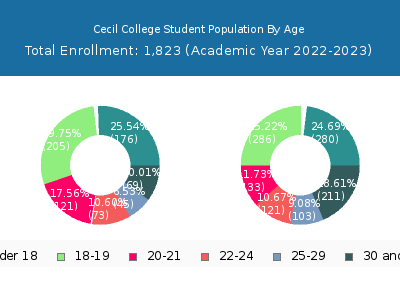 Cecil College 2023 Student Population Age Diversity Pie chart