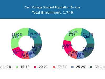 Cecil College 2025 Student Population Age Diversity Pie chart