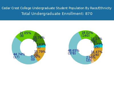 Cedar Crest College 2025 Undergraduate Enrollment by Gender and Race chart