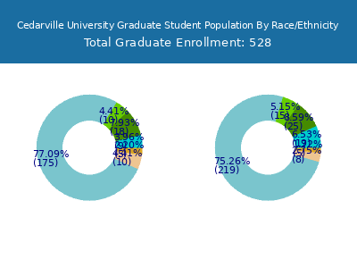 Cedarville University 2025 Graduate Enrollment by Gender and Race chart