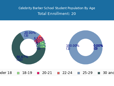 Celebrity Barber School 2024 Student Population Age Diversity Pie chart