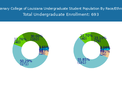 Centenary College of Louisiana 2025 Undergraduate Enrollment by Gender and Race chart