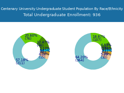 Centenary University 2025 Undergraduate Enrollment by Gender and Race chart