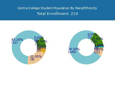 Centra College 2025 Student Population by Gender and Race chart