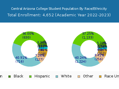 Central Arizona College 2023 Student Population by Gender and Race chart