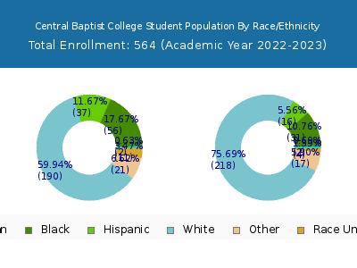 Central Baptist College 2023 Student Population by Gender and Race chart