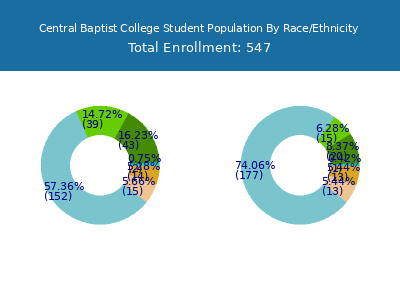 Central Baptist College 2025 Student Population by Gender and Race chart