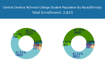 Central Carolina Technical College 2025 Student Population by Gender and Race chart