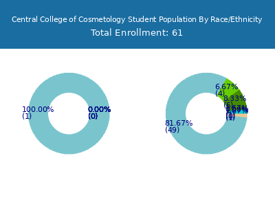 Central College of Cosmetology 2025 Student Population by Gender and Race chart