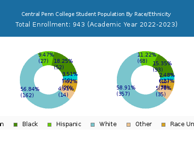 Central Penn College 2023 Student Population by Gender and Race chart