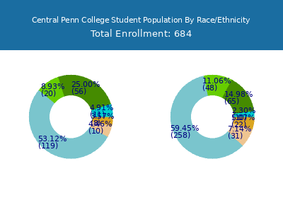 Central Penn College 2025 Student Population by Gender and Race chart