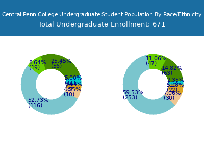 Central Penn College 2025 Undergraduate Enrollment by Gender and Race chart