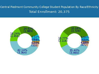 Central Piedmont Community College 2025 Student Population by Gender and Race chart