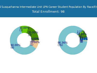 Central Susquehanna Intermediate Unit LPN Career 2025 Student Population by Gender and Race chart