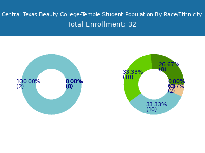 Central Texas Beauty College-Temple 2025 Student Population by Gender and Race chart
