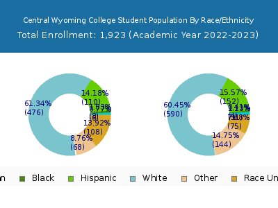 Central Wyoming College 2023 Student Population by Gender and Race chart