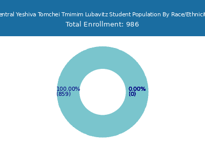 Central Yeshiva Tomchei Tmimim Lubavitz 2025 Student Population by Gender and Race chart