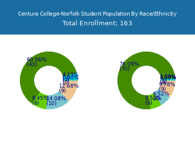 Centura College-Norfolk 2025 Student Population by Gender and Race chart