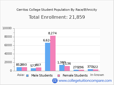 Cerritos College 2025 Student Population by Gender and Race chart