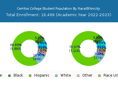 Cerritos College 2023 Student Population by Gender and Race chart