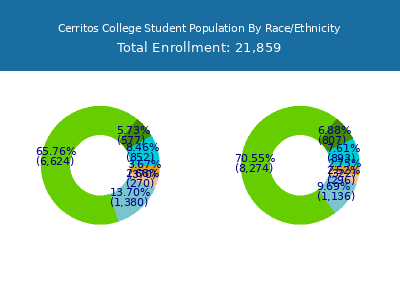 Cerritos College 2025 Student Population by Gender and Race chart