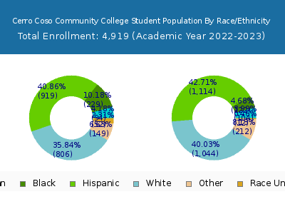 Cerro Coso Community College 2023 Student Population by Gender and Race chart