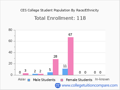 CES College 2025 Student Population by Gender and Race chart