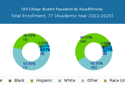 CES College 2023 Student Population by Gender and Race chart