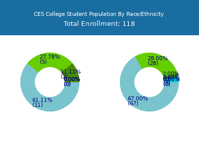 CES College 2025 Student Population by Gender and Race chart