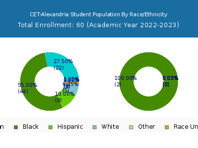 CET-Alexandria 2023 Student Population by Gender and Race chart
