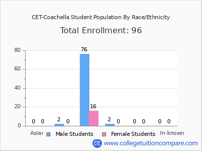 CET-Coachella 2025 Student Population by Gender and Race chart