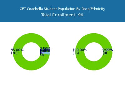 CET-Coachella 2025 Student Population by Gender and Race chart