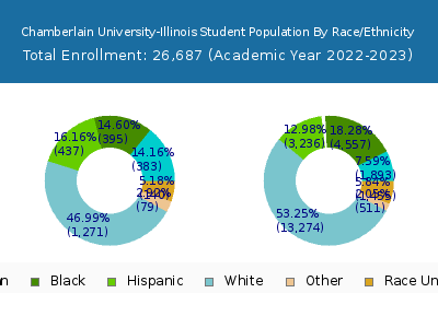Chamberlain University-Illinois 2023 Student Population by Gender and Race chart