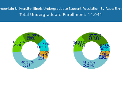 Chamberlain University-Illinois 2025 Undergraduate Enrollment by Gender and Race chart