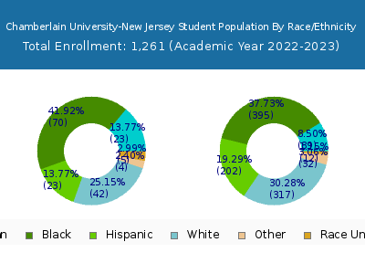 Chamberlain University-New Jersey 2023 Student Population by Gender and Race chart