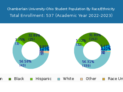 Chamberlain University-Ohio 2023 Student Population by Gender and Race chart